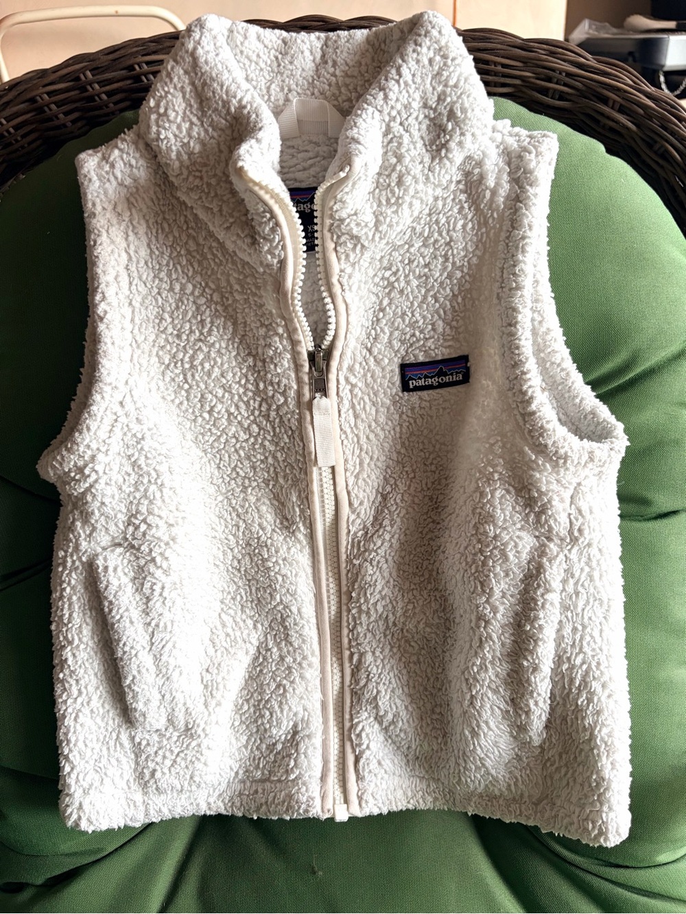Kids patagonia fleece vest